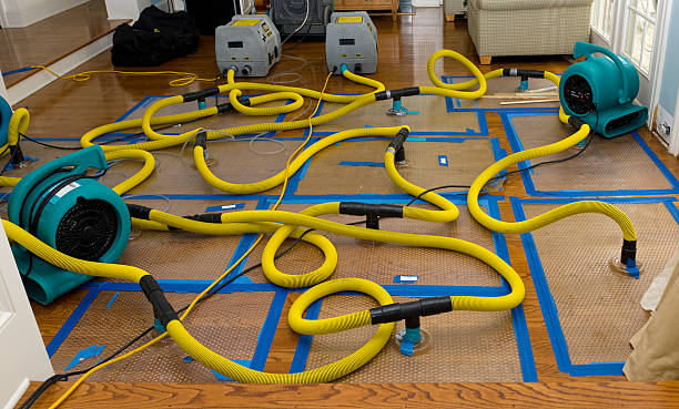 Professional Water Damage Repair technician working in Iron Station, NC